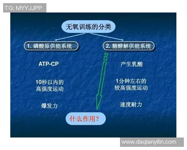 南京羽毛球队反击战术全面解析与实战应用探讨