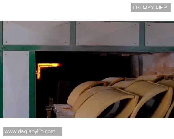 北京网球队区域防守革新之路：战术变革与未来展望