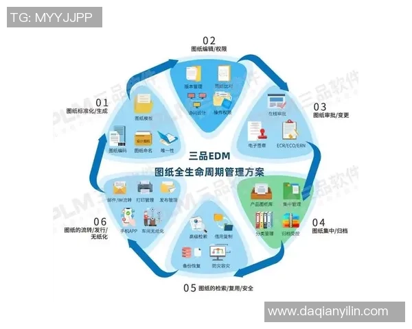 TES选手个人能力表现分析与数据解读探讨